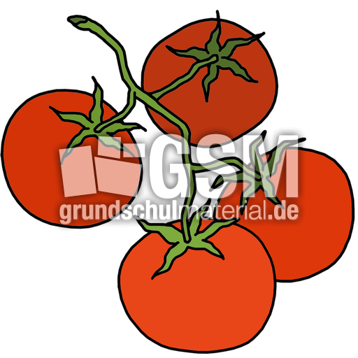 Tomaten_farb.jpg